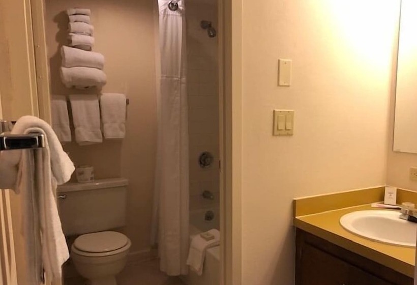 Четырехместный Номер Стандарт, Evergreen Valley Inn