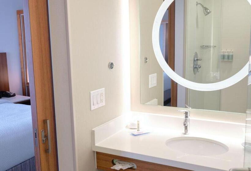 Люкс Адаптированный для Инвалидов, Springhill Suites By Marriott Dallas Richardson/plano