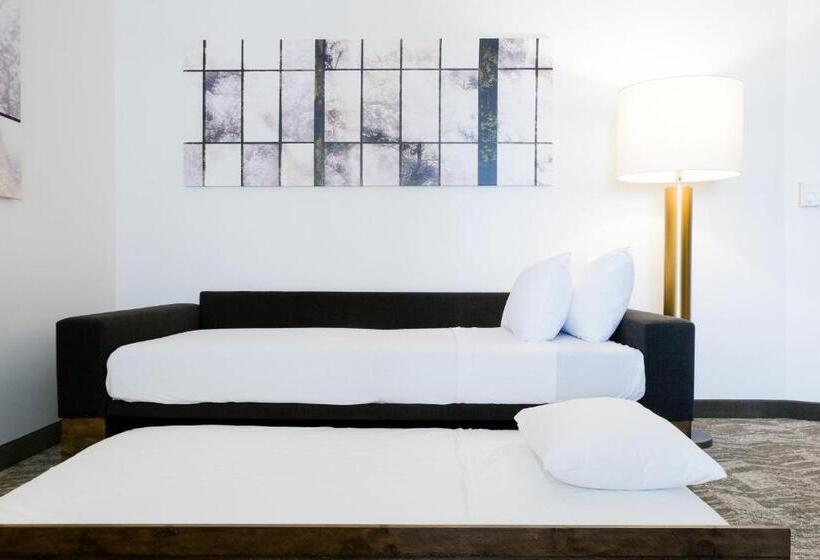 身障者適用スイートルーム, Springhill Suites By Marriott Dallas Richardson/plano