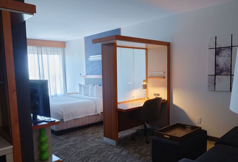 Family Suite, Springhill Suites By Marriott Dallas Richardson/plano