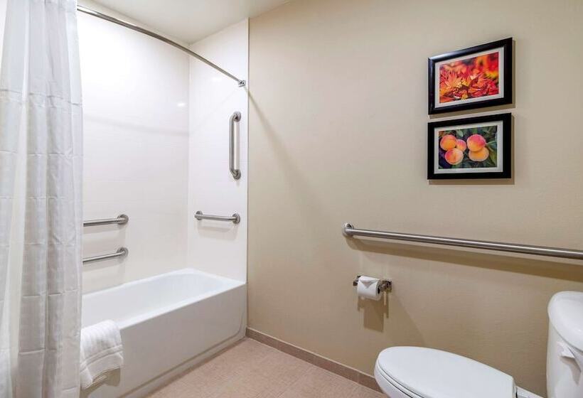 Люкс Адаптированный для Инвалидов, Comfort Suites