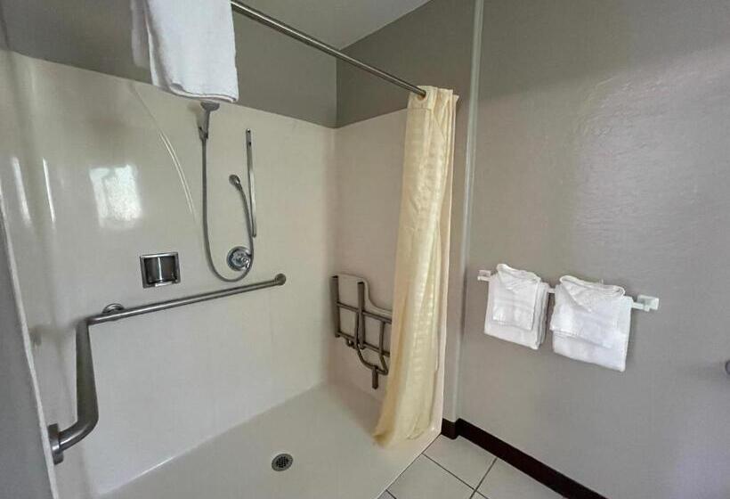اتاق استاندارد با تخت بزرگ برای معلولان, Pinewood Inn