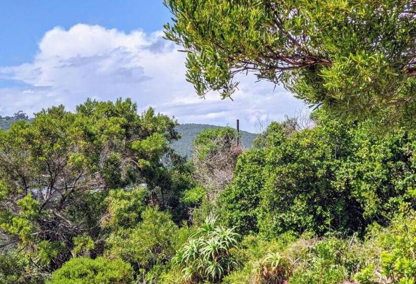 带大床的标准间, Villa Cape Garden Route