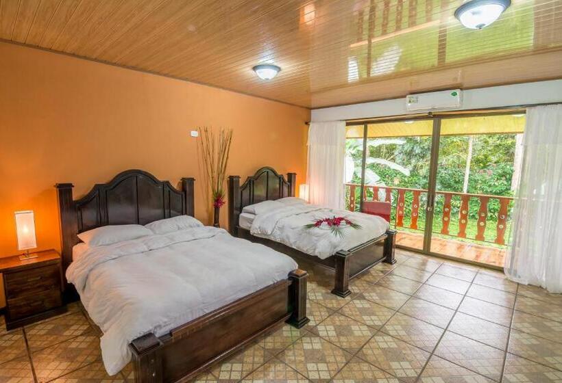 اتاق استاندارد, Ara Ambigua Lodge