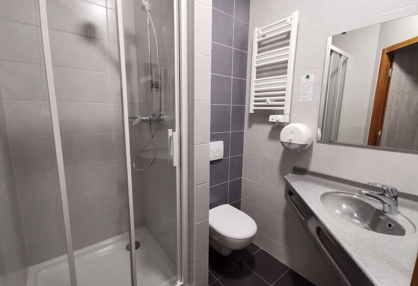 اتاق کلاس بیزنس, Hôtel Siatel Besançon Chateaufarine