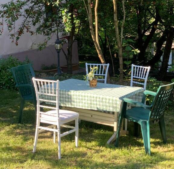 آپارتمان 1 خوابه با تراس, Vila Zia