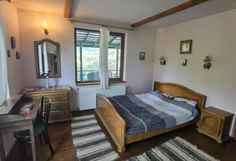 آپارتمان 1 خوابه با تراس, Vila Zia