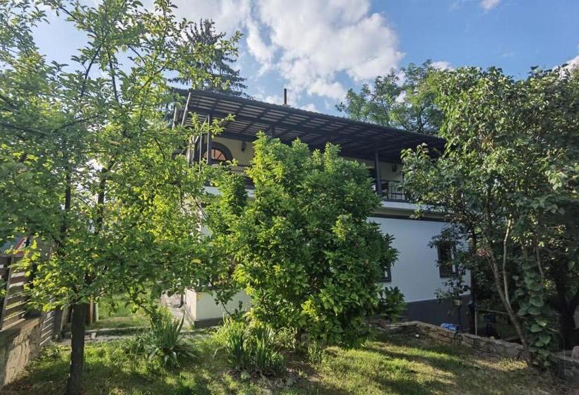 آپارتمان 1 خوابه با تراس, Vila Zia