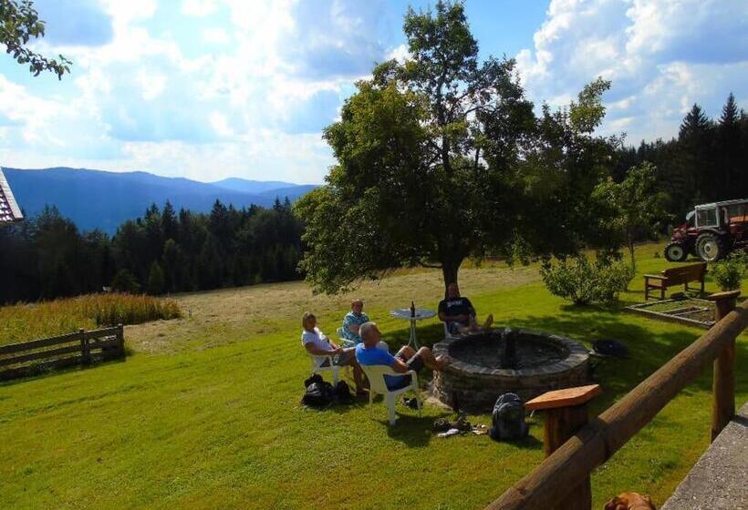 Апартаменты 1 Спальня, Pension Haus Waldesruh