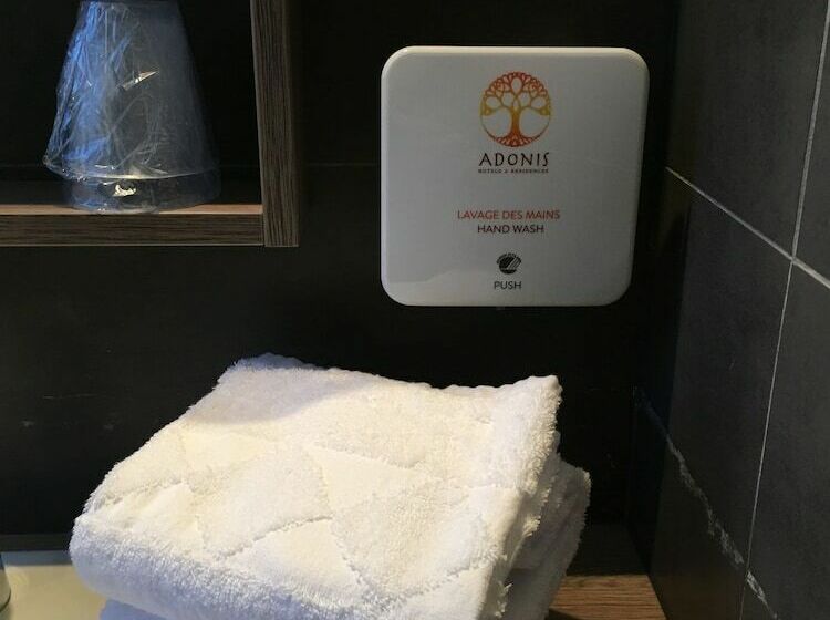 Номер Superior, Adonis Hotel Strasbourg