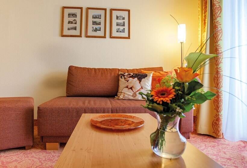 اتاق راحتی یک تخته, Vitalhotel Am Stadtpark Superior