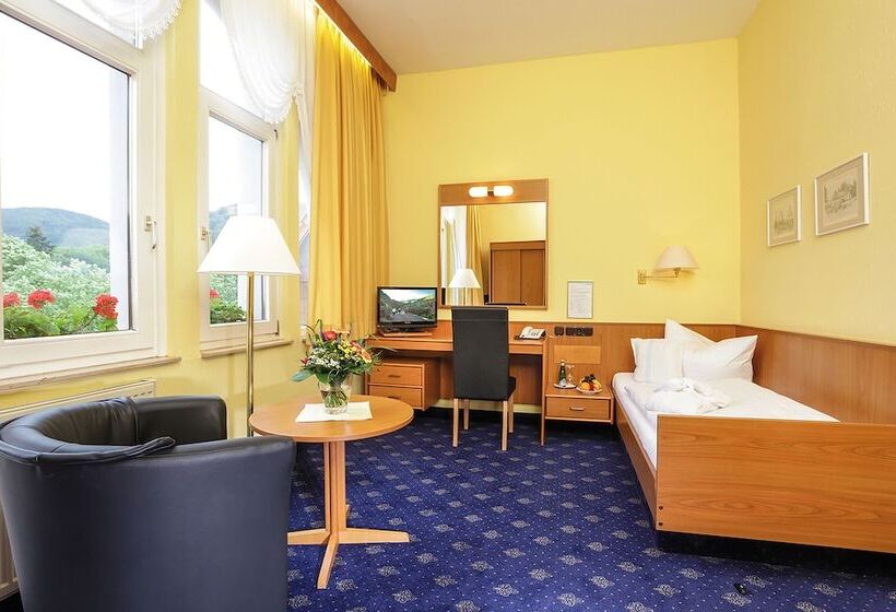 اتاق کلاسیک یک تخته, Vitalhotel Am Stadtpark Superior