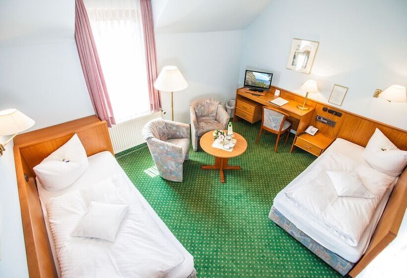 اتاق کلاسیک, Vitalhotel Am Stadtpark Superior