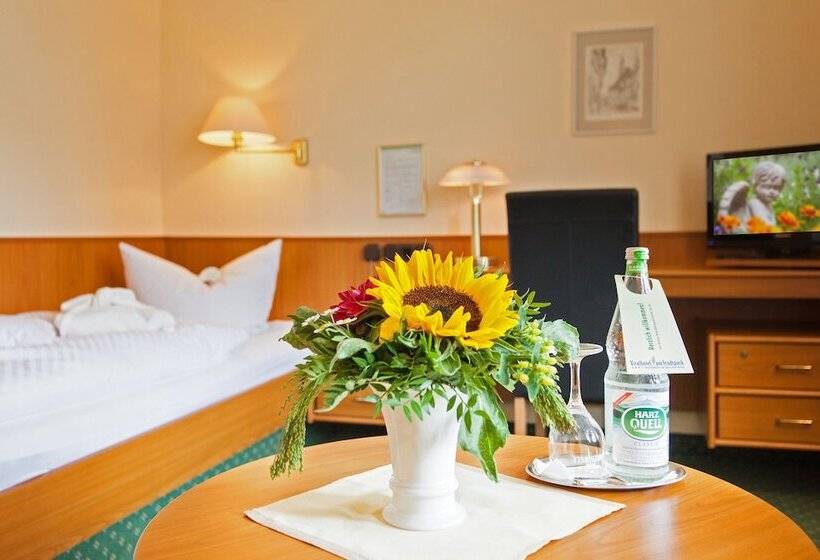 اتاق کلاسیک, Vitalhotel Am Stadtpark Superior