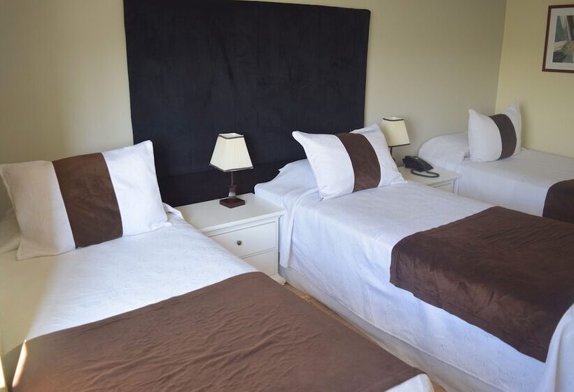 标准三人间, Vo Hotel Barrio Italia