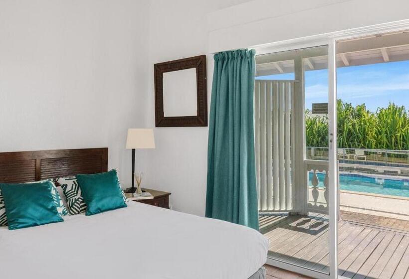 اتاق سوپریور با تخت بزرگ, Esmeralda Resort