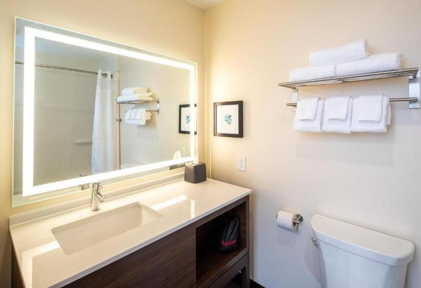 带大床的标准间, Holiday Inn & Suites Detroit   Troy, An Ihg