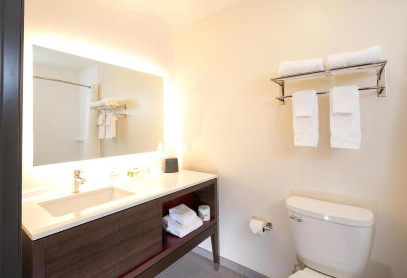 适合残疾人使用的标准间, Holiday Inn & Suites Detroit   Troy, An Ihg