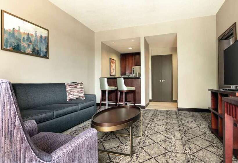 Студио Стандарт Кровать Кинг, Home2 Suites By Hilton Biloxi North/d Iberville