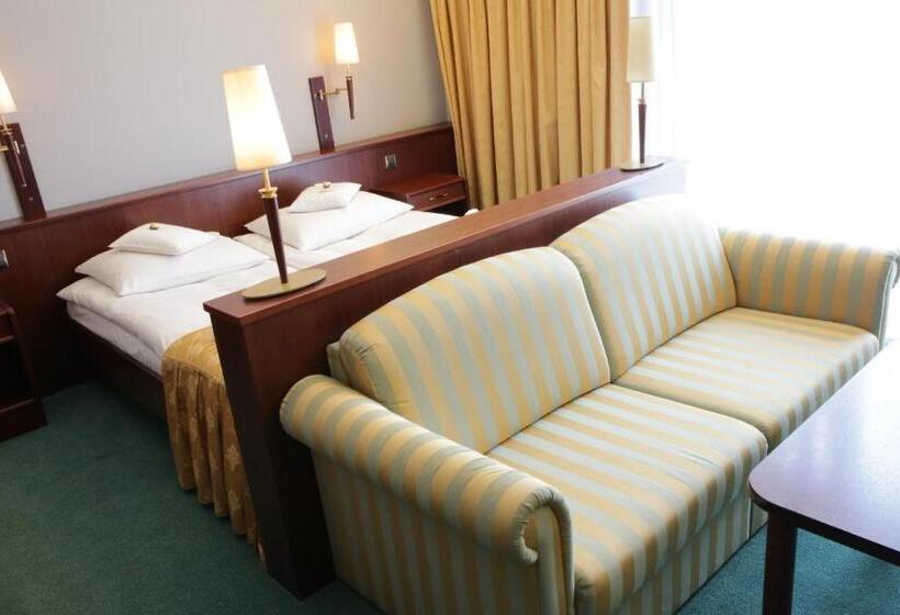 اتاق لوکس با تخت بزرگ, Parkhotel Vienna