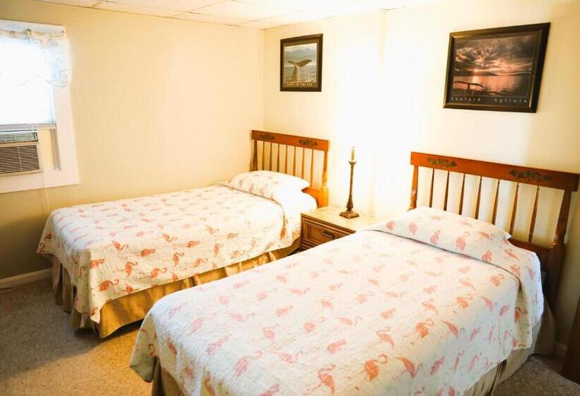 ２ベッドスイートルーム, Seashell Motel