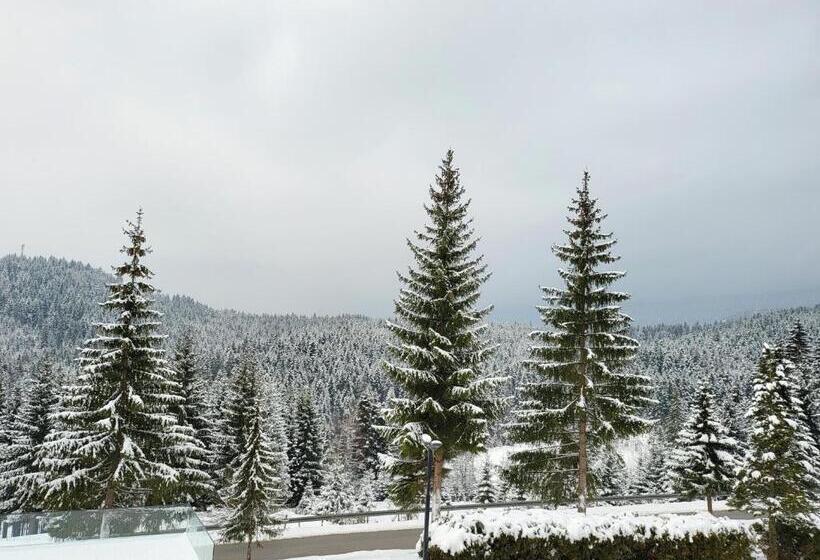 اتاق استاندارد با چشم‌انداز کوهستان, Forest