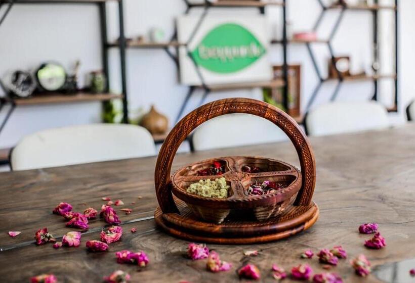 سوییت خانوادگی, Rosa Therapy Butik Otel