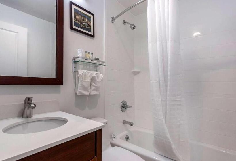 اتاق استاندارد با تخت بزرگ, Avion Inn Near Lga Airport, Ascend Hotel Collection