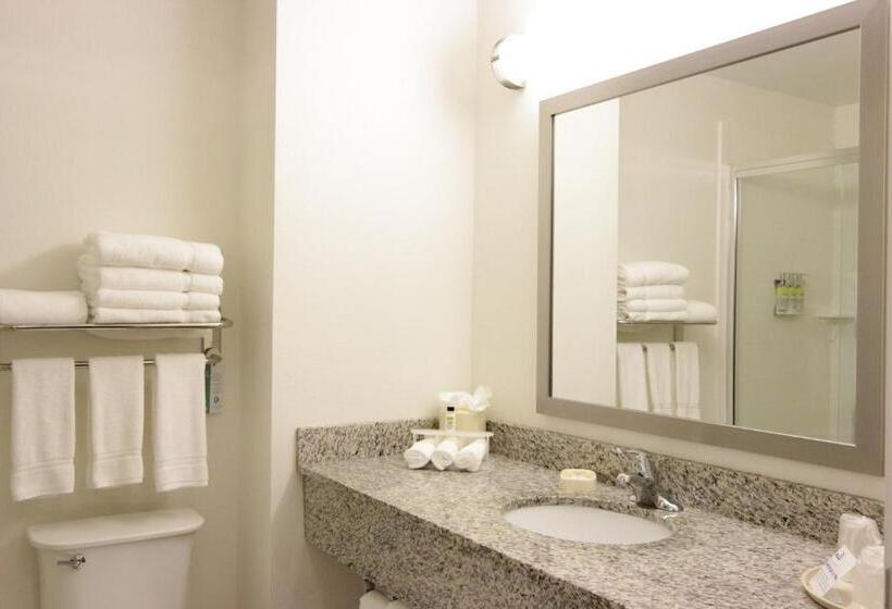 身障者適用キングサイズベッドルーム, Holiday Inn Express And Suites Montgomery, An Ihg