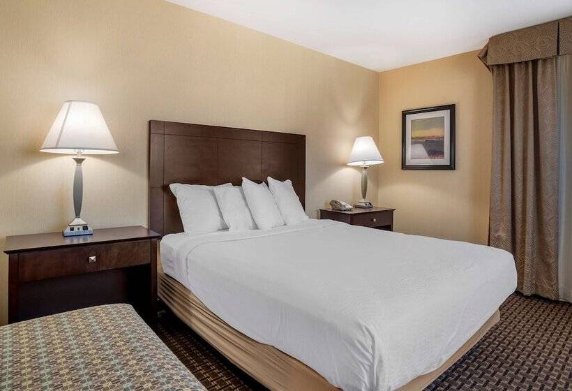 스위트, Best Western Plus Philadelphia Airport South At Widener University