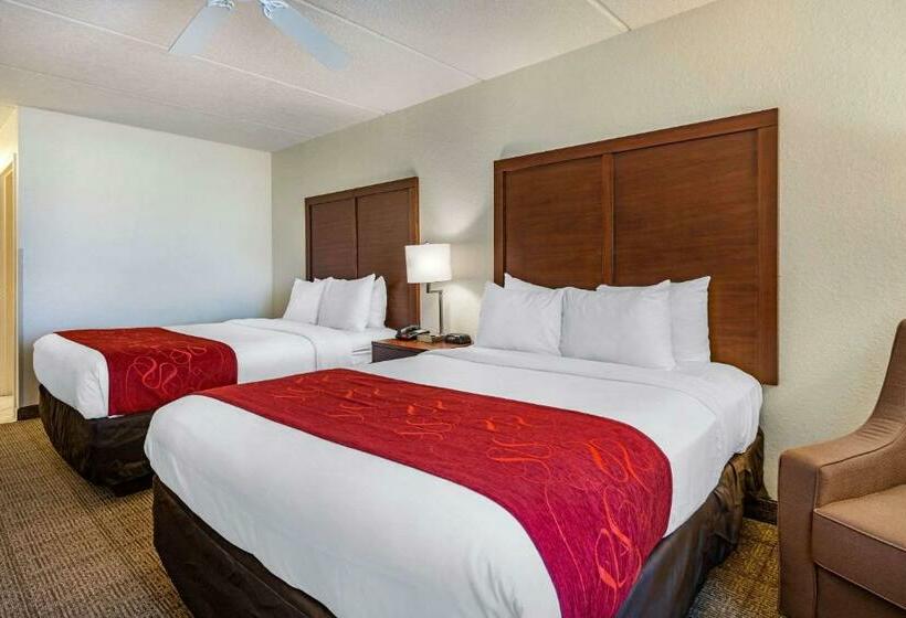 スタンダードルーム, Comfort Inn Kissimmee-Lake Buena Vista South