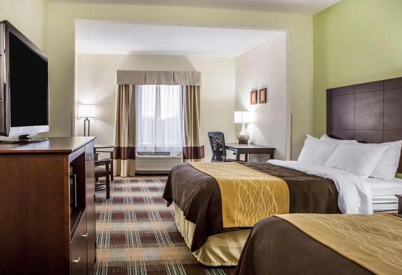 스탠다드 룸 더블 침대 2개, Comfort Inn Lexington South
