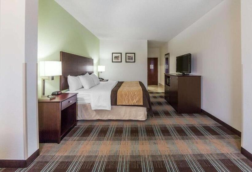 스탠다드 룸 킹사이즈 침대, Comfort Inn Lexington South