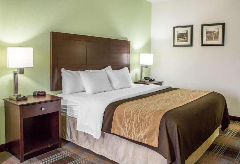 스탠다드 룸 킹사이즈 침대, Comfort Inn Lexington South