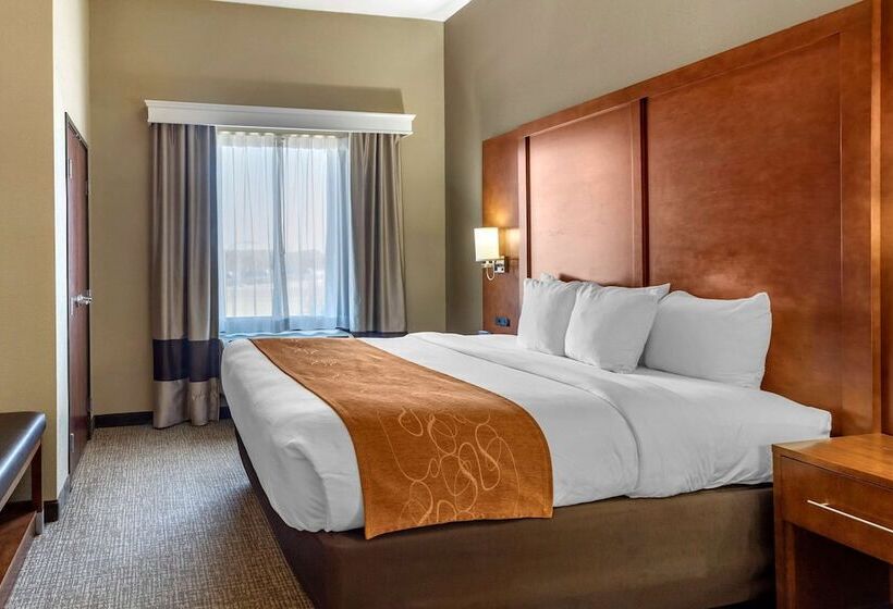 Люкс, Comfort Suites Batesville