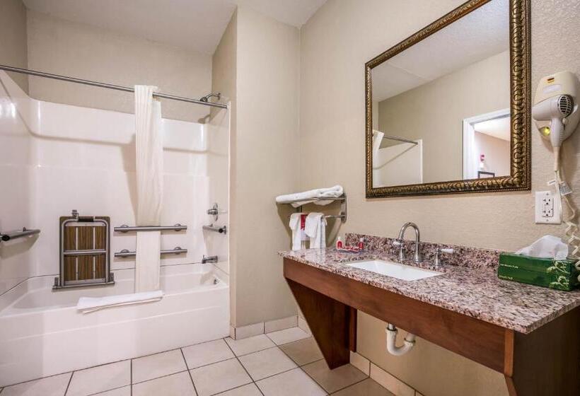 장애인을 위한 킹사이즈 침대 스탠다드 룸, Econo Lodge Inn & Suites