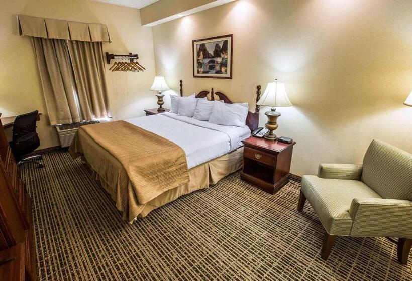 带大床的标准间, Quality Inn