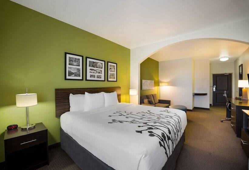 Люкс, Sleep Inn & Suites