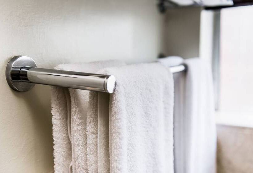اتاق استاندارد با تخت بزرگ, Belaire Suites