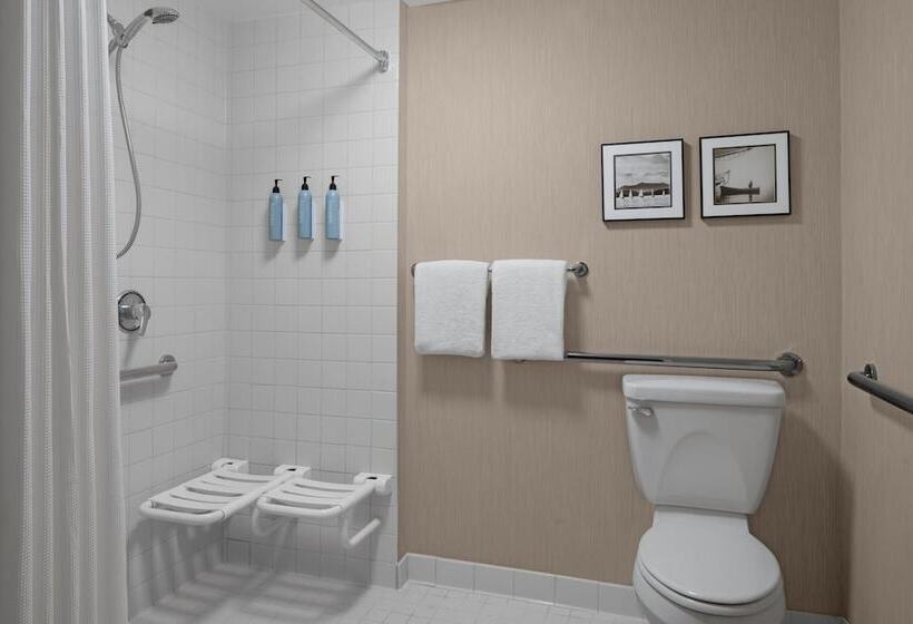 Люкс 2 Спальни, Residence Inn East Rutherford Meadowlands