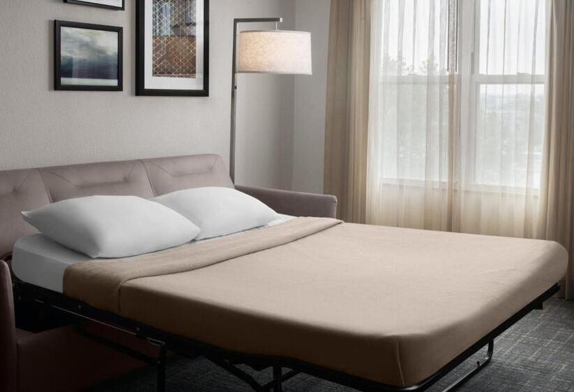 Студио Стандарт Кровать Кинг, Residence Inn East Rutherford Meadowlands