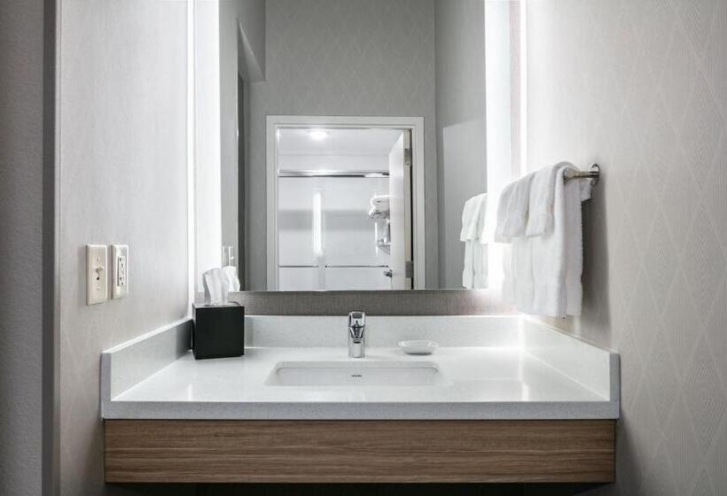Студия Стандарт, Springhill Suites By Marriott Cheyenne