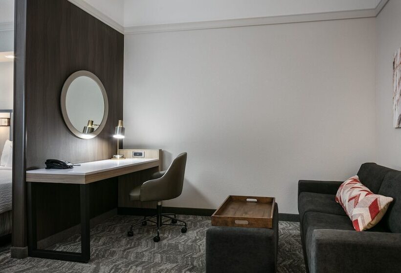 Студия Стандарт, Springhill Suites By Marriott Cheyenne