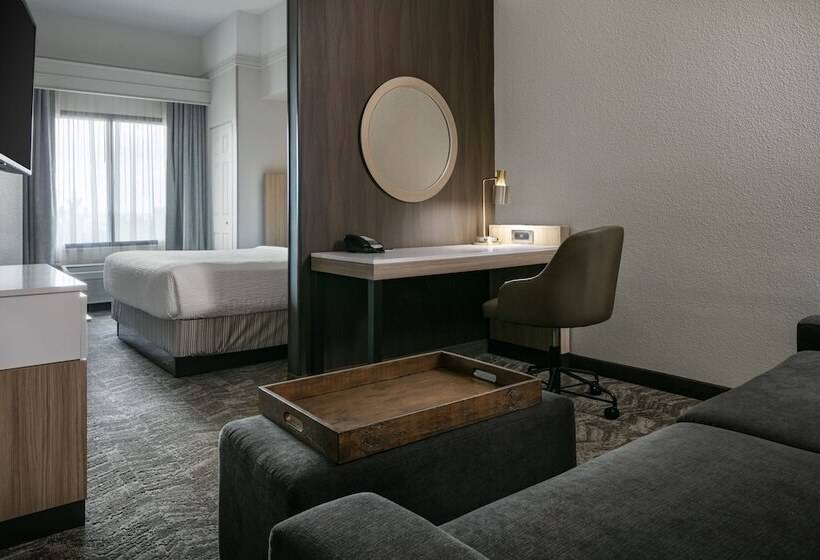 Студия Стандарт, Springhill Suites By Marriott Cheyenne