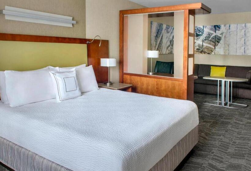 Студио Стандарт Кровать Кинг, Springhill Suites Long Island Brookhaven