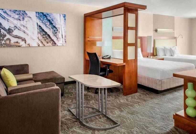 Студия Стандарт, Springhill Suites Long Island Brookhaven