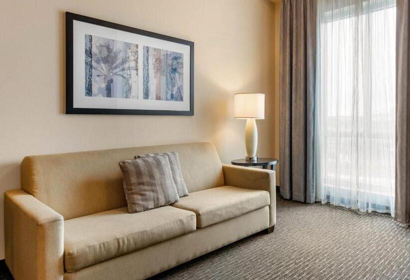 Люкс, Staybridge Suites St. Petersburg Fl, An Ihg