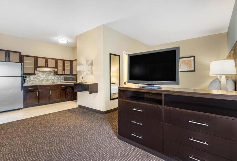 Номер Стандарт, Staybridge Suites St. Petersburg Fl, An Ihg