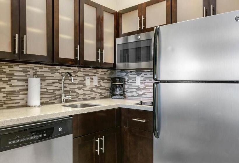 Номер Стандарт, Staybridge Suites St. Petersburg Fl, An Ihg