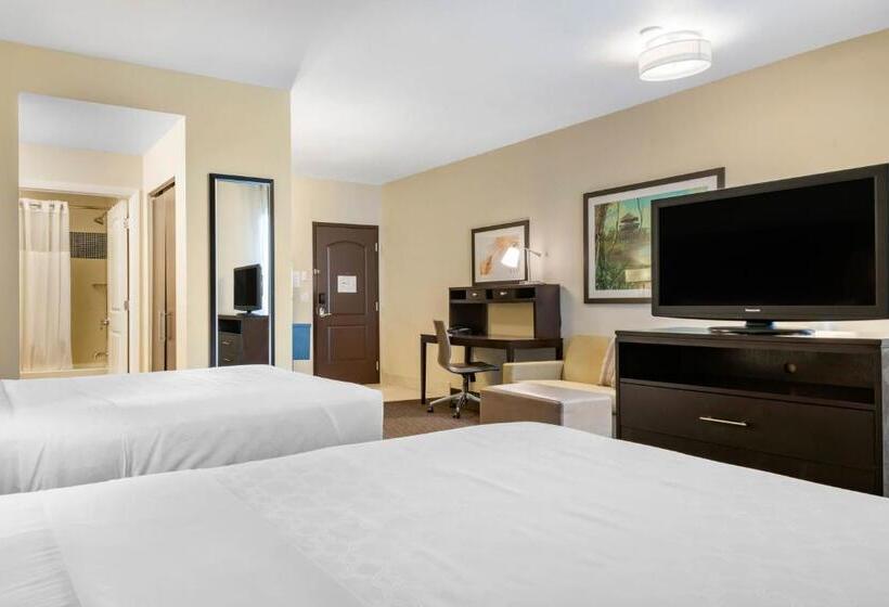 Люкс, Staybridge Suites St. Petersburg Fl, An Ihg